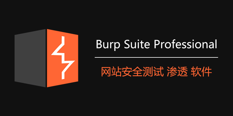 Burp Suite Pro 专业版 v2024.3.1.3 网站安全测试 渗透 软件