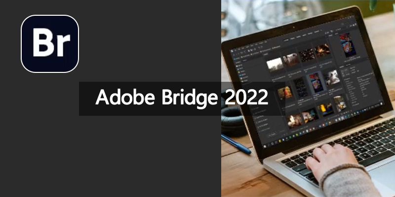 Adobe Bridge 2022 中文特别版 12.0.2.252 ARC14.4