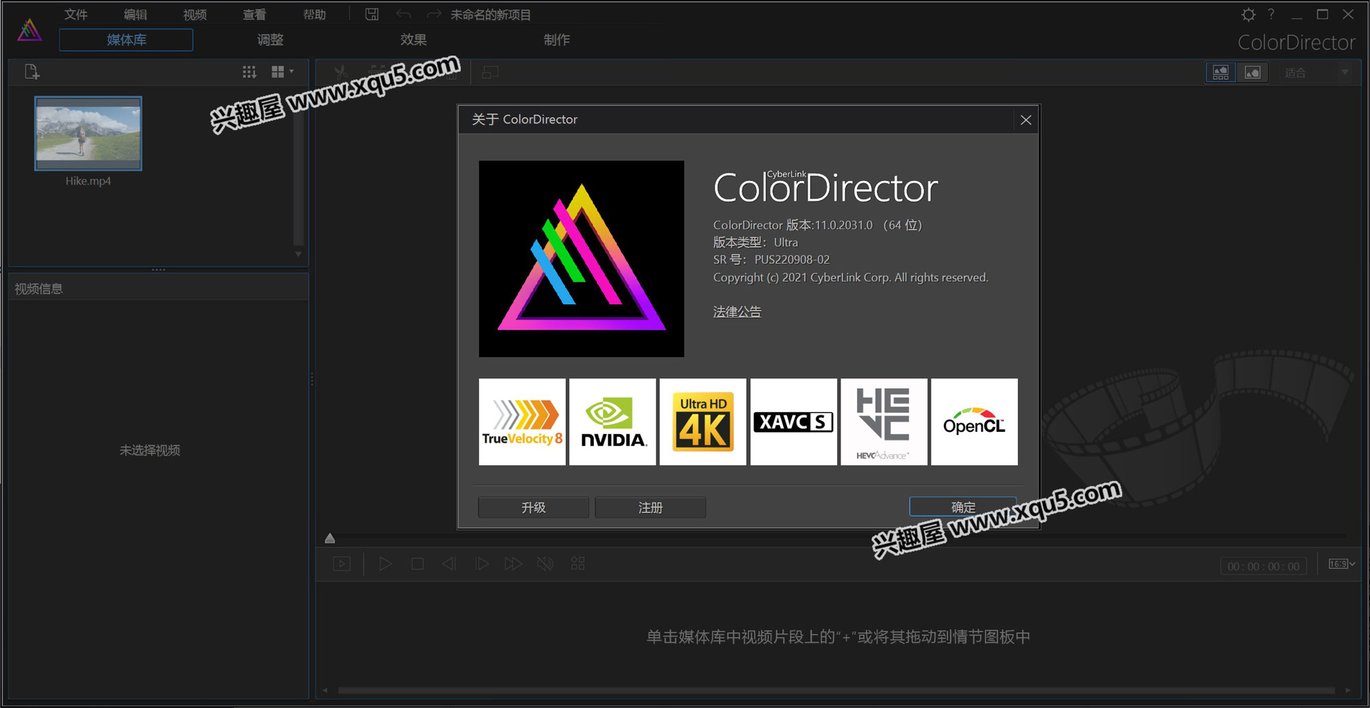 ColorDirector-3.jpg