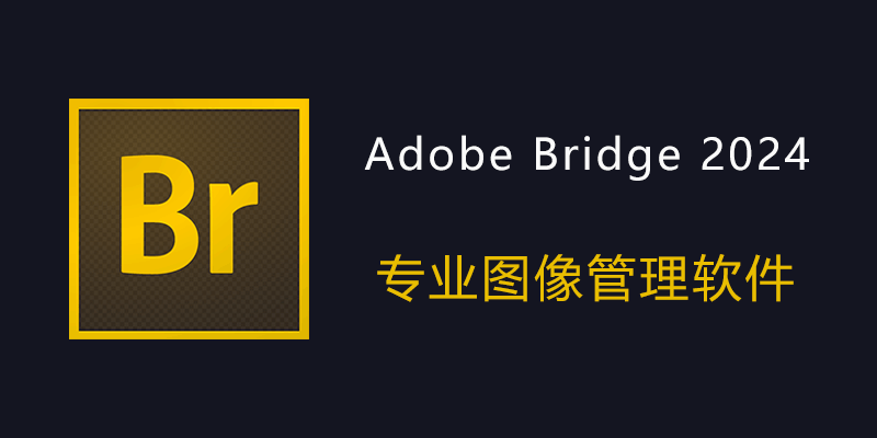 Adobe Bridge 2024 中文特别版 v14.1.1.274.0 专业图像管理软件