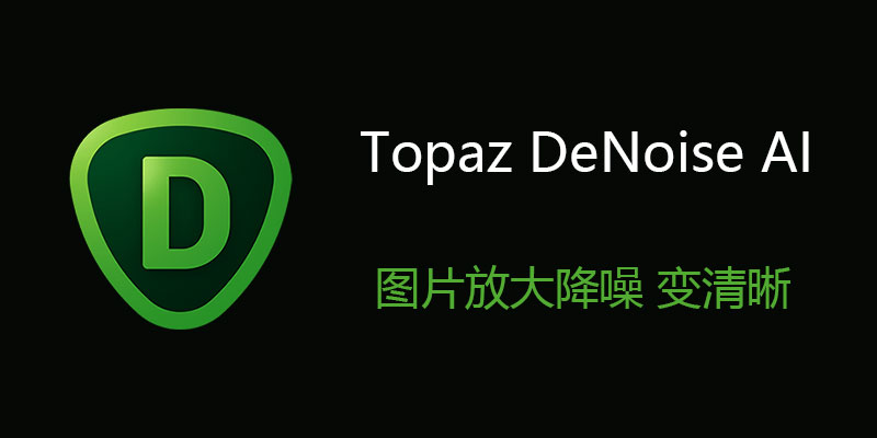 Topaz DeNoise AI 汉化中文特别版 v3.7.2 图片放大降噪 变清晰